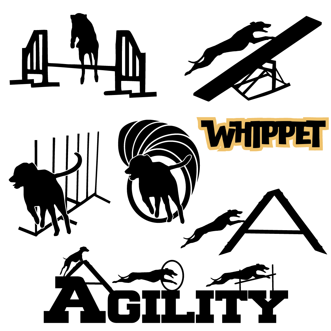 Dog Sport Agility