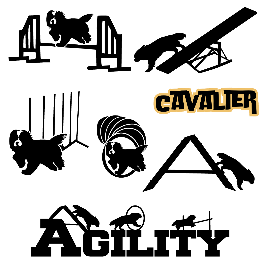 Dog Sport Agility