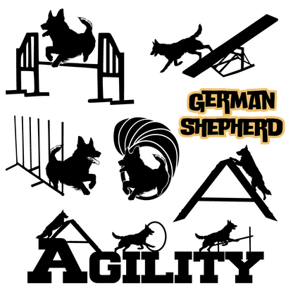 Dog Sport Agility