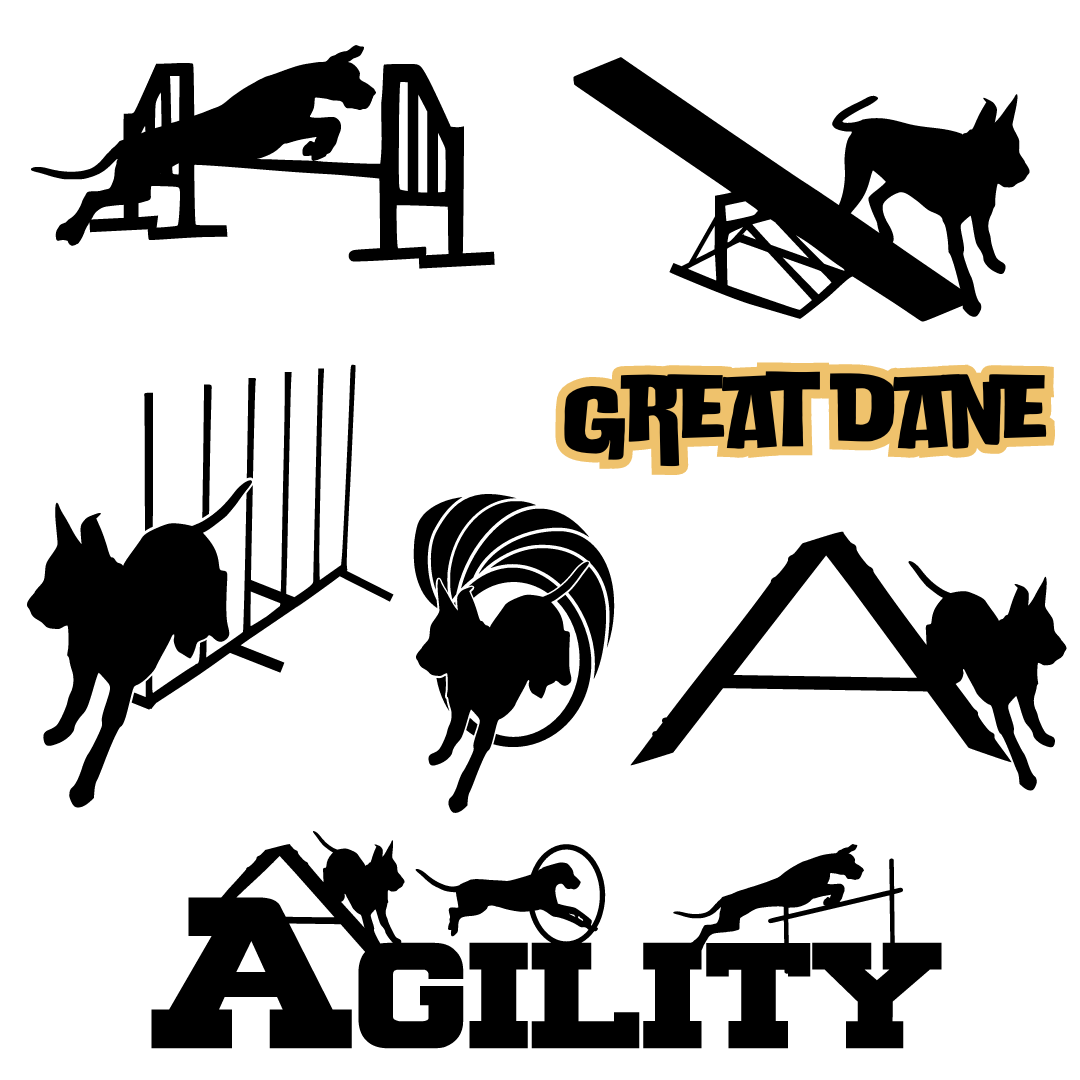 Dog Sport Agility