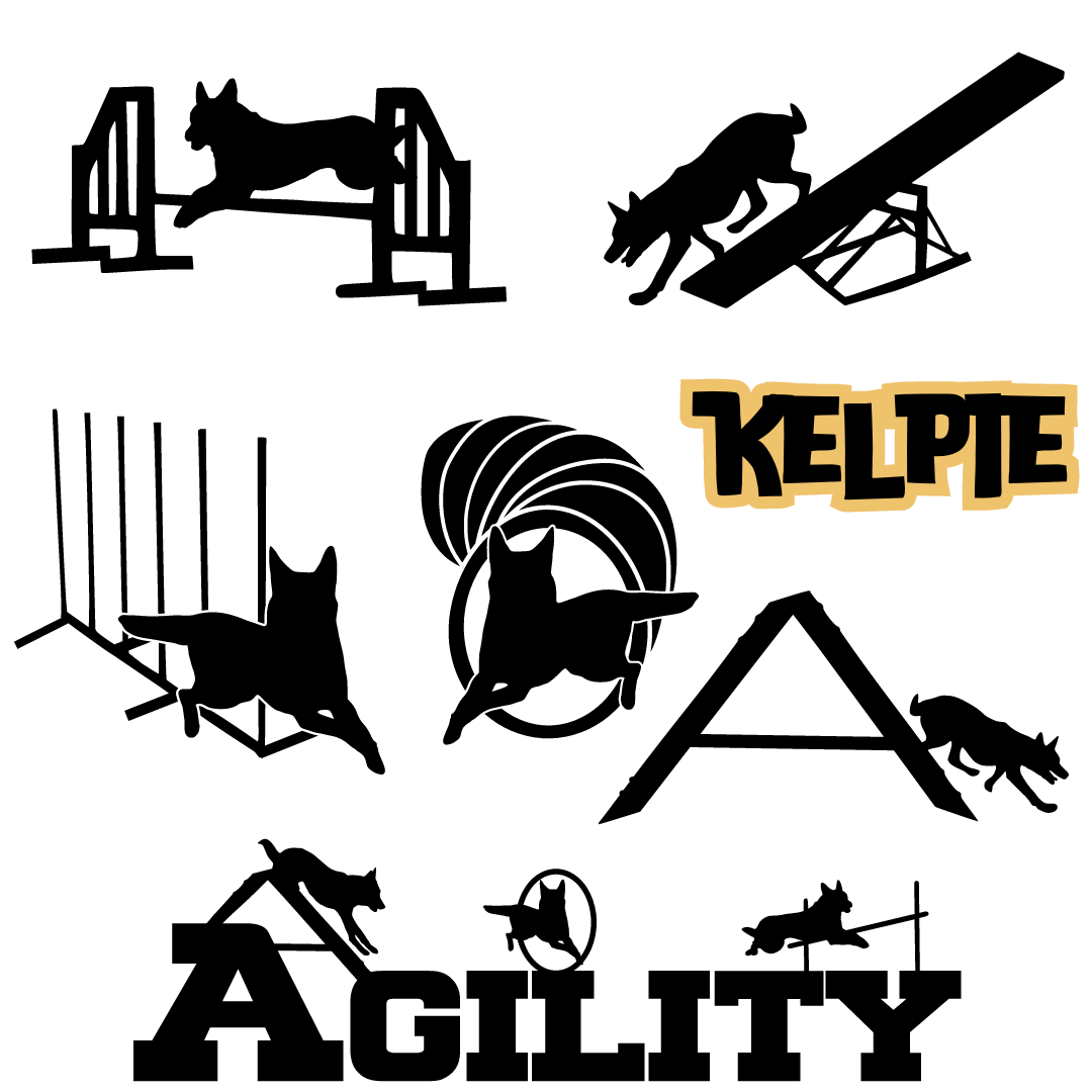 Dog Sport Agility