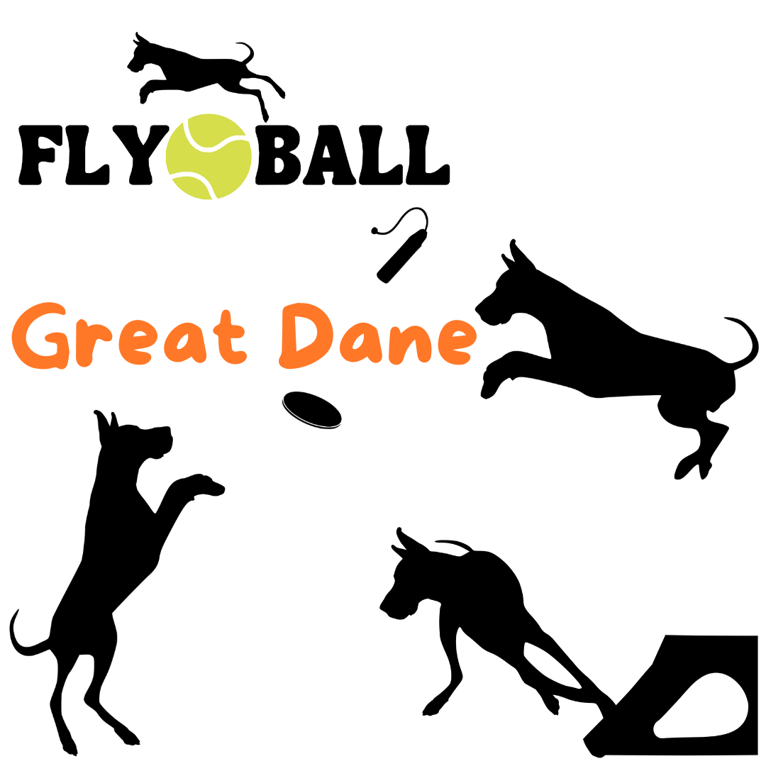 Dog Sports - Dock, Disc, Flyball