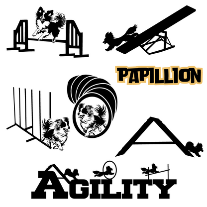 Dog Sport Agility