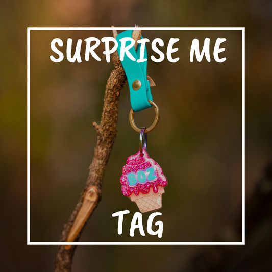 SURPRISE ME TAG