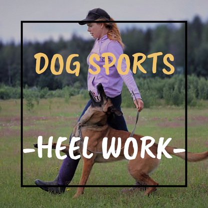 Dog Sport Heel Work